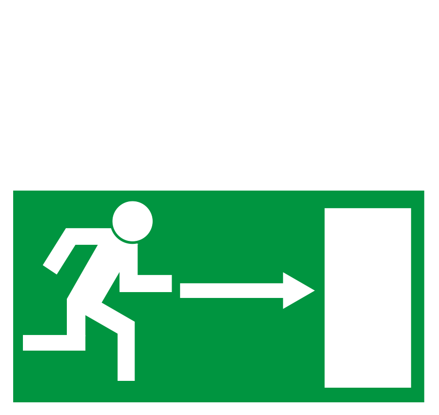 Logo Paddy Schmidt + Band Paddy goes to Holyhead